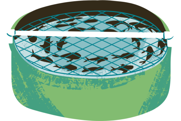 近代的な陸上養殖施設の内部で魚が泳ぐ水槽の様子と、奥で作業員が管理している風景